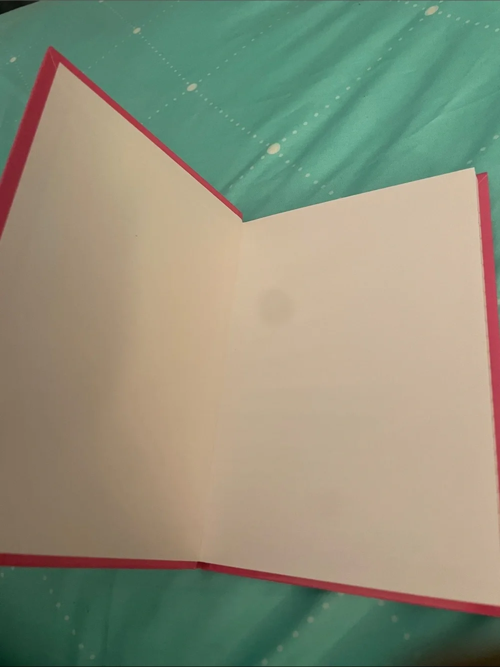 Journal Standard vibrant pink